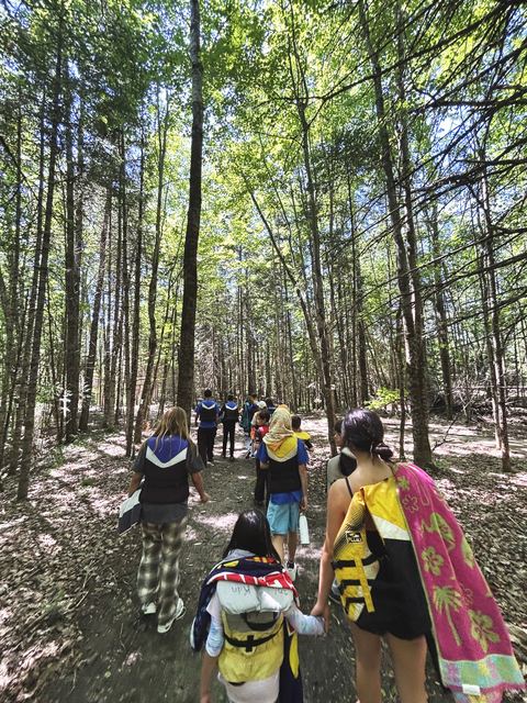 Caminata por el bosque